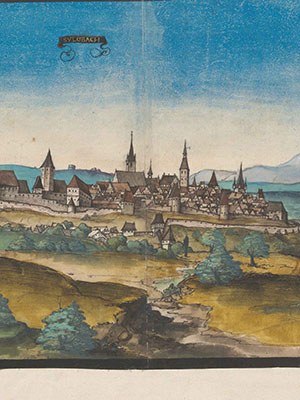 Ansicht: Sulzbach-Rosenberg mit Amberg