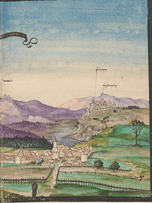Ansicht: Schwandorf mit Fronberg